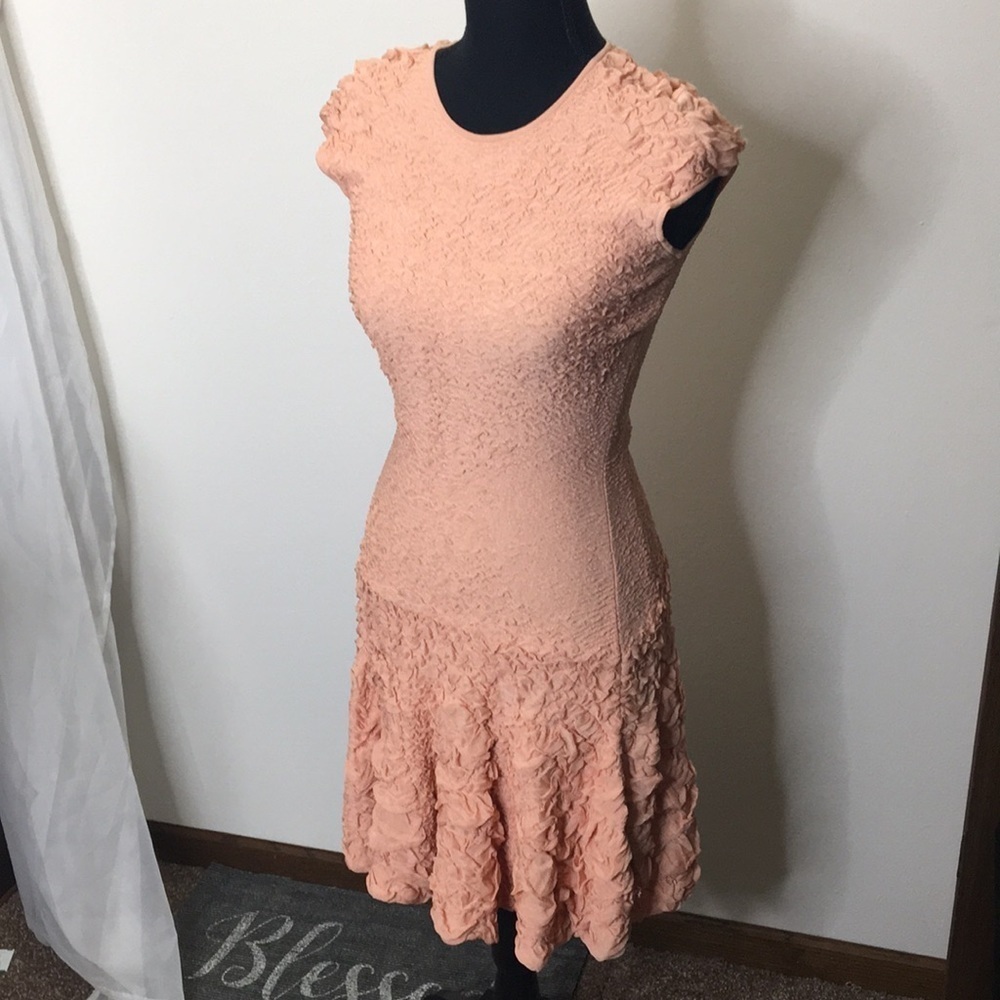 Alexander McQueen blush peach textural pucker knit flounced dress size s…